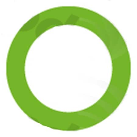 Gpd Oring/Gasket 1311374